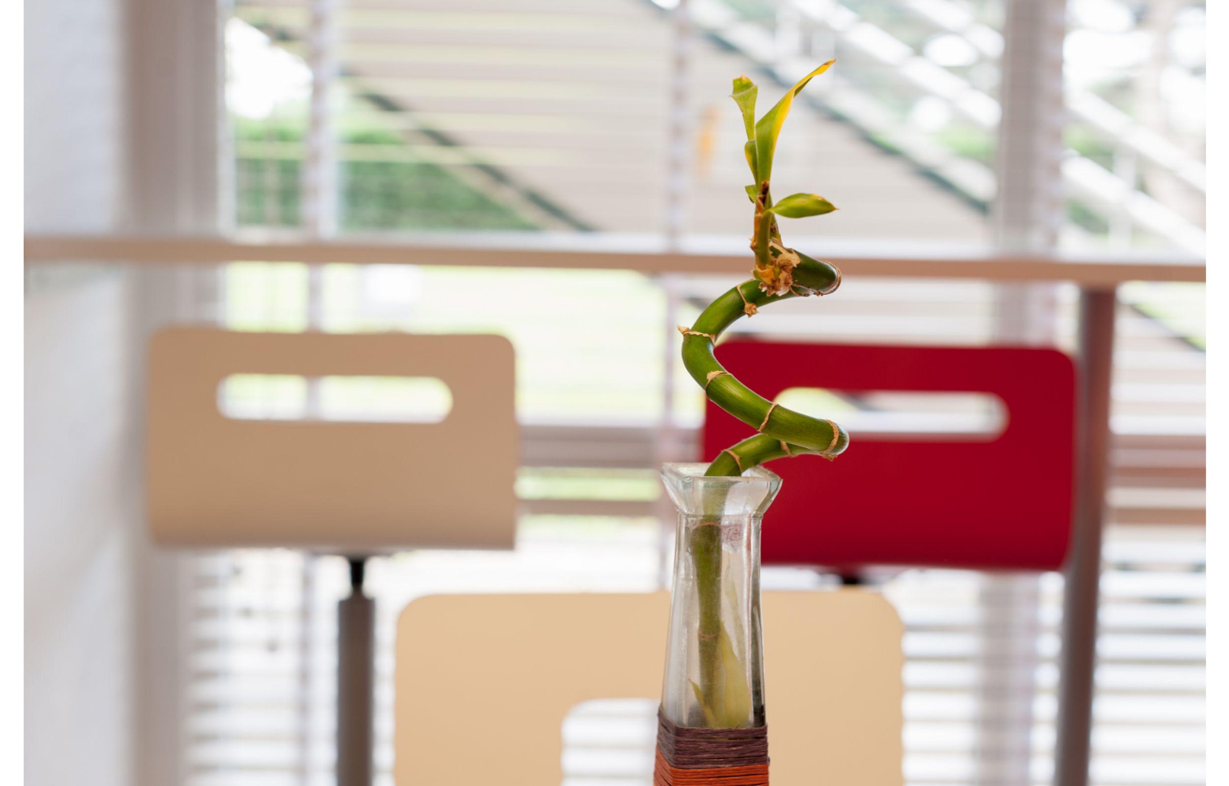 Hotel Premiere Classe Rouen Sud Oissel Saint-Étienne-du-Rouvray Eksteriør bilde